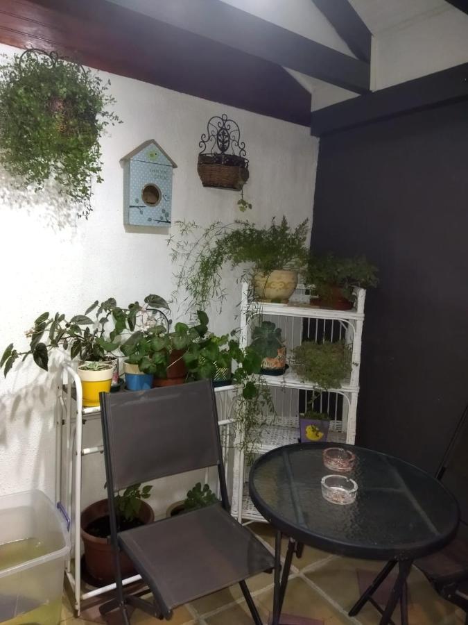 Casa Roble Anejo Bed & Breakfast Санта-Крус Экстерьер фото